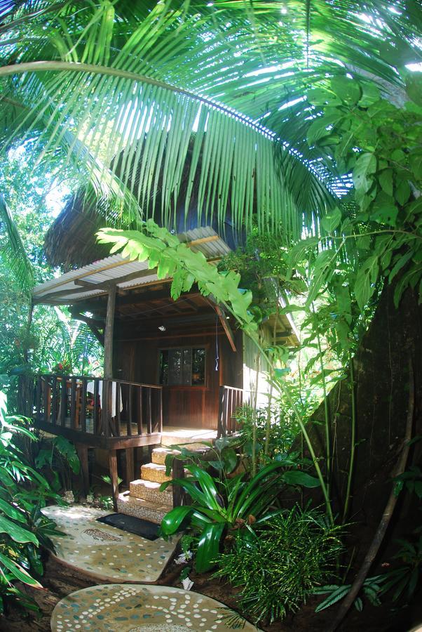 Red Frog Bungalows Surf Resort Bastimentos Exterior photo