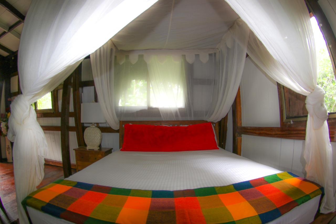 Red Frog Bungalows Surf Resort Bastimentos Exterior photo
