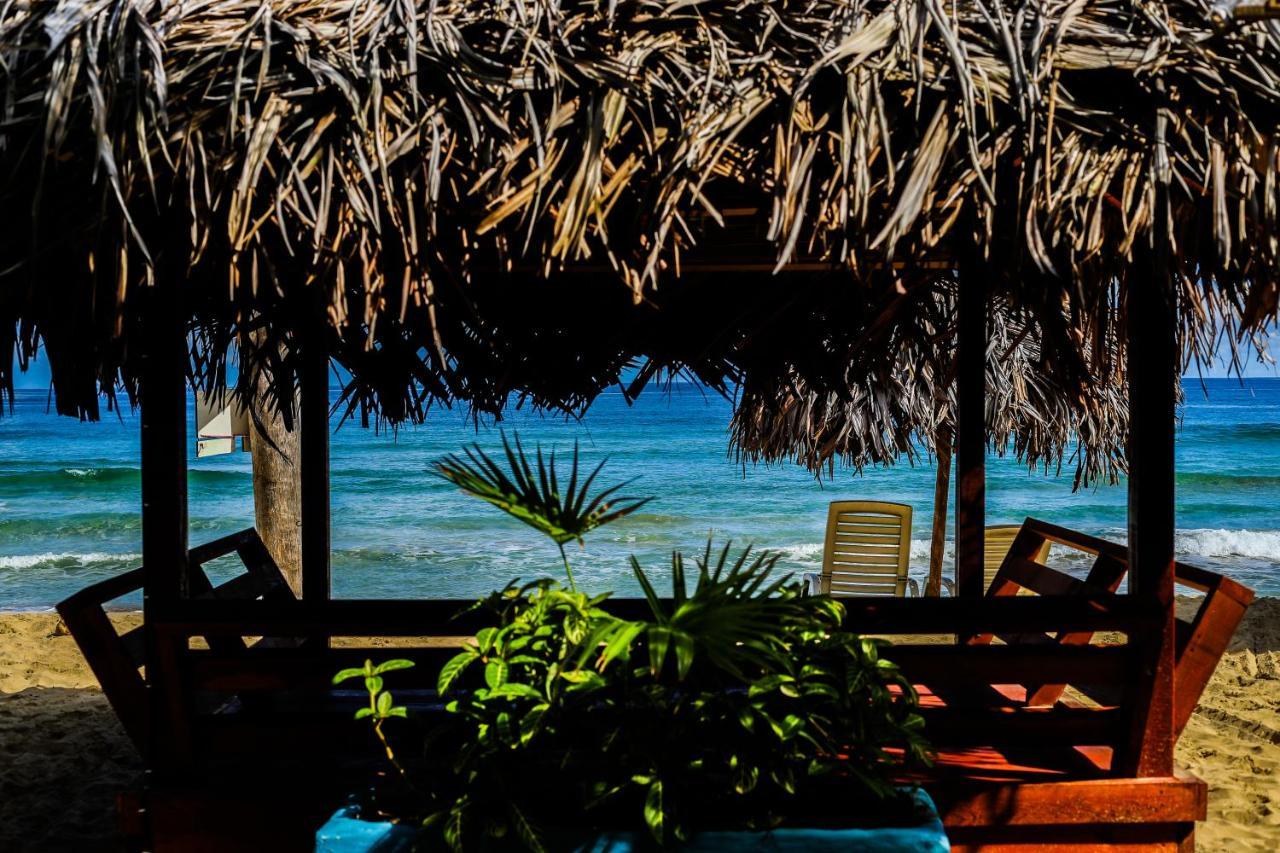 Red Frog Bungalows Surf Resort Bastimentos Exterior photo